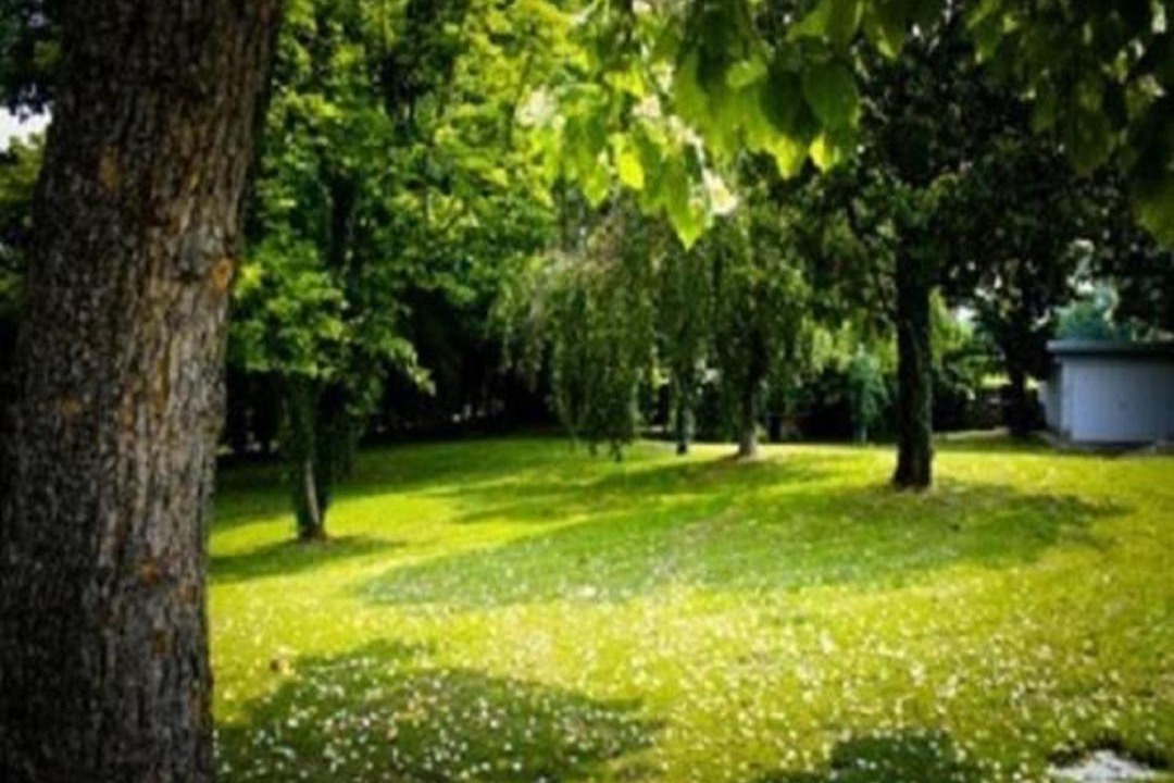 Photo of Others in Corbetta