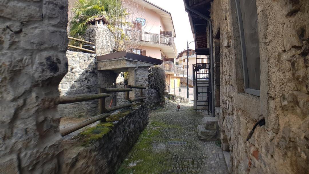 Photo of Others in Gorno