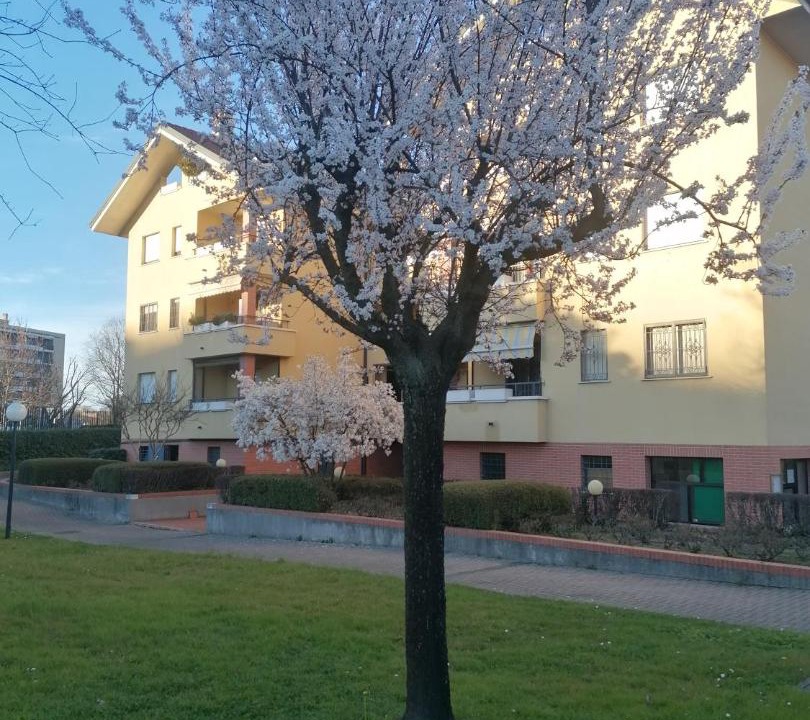Photo of Buildings in Rozzano