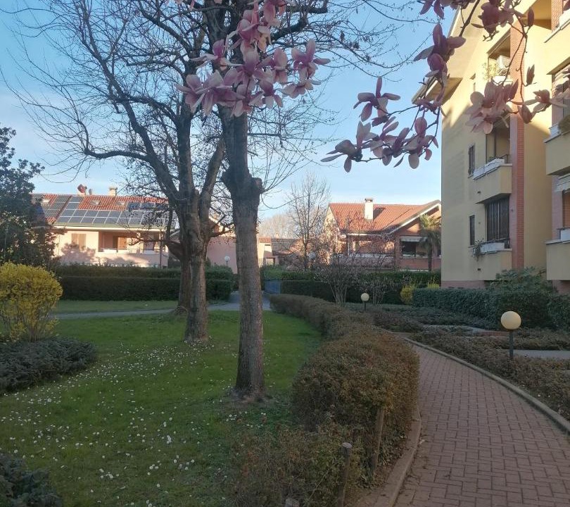 Photo of Buildings in Rozzano