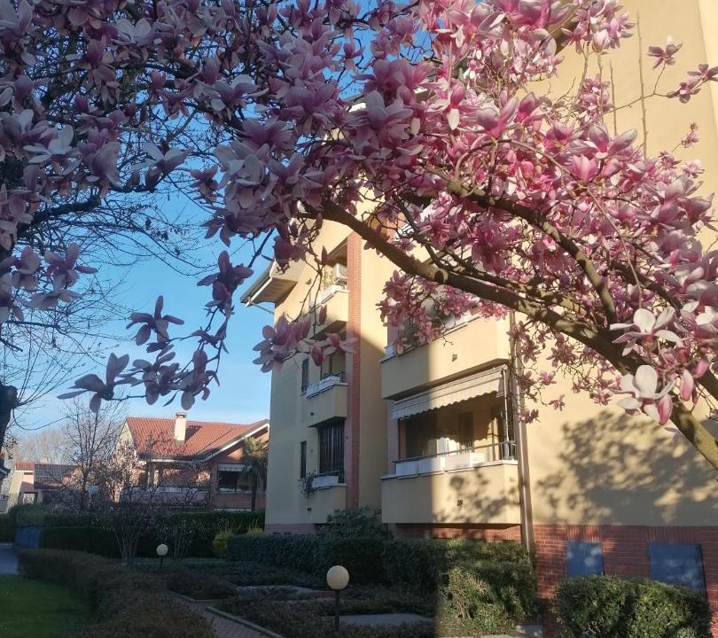 Photo of Buildings in Rozzano