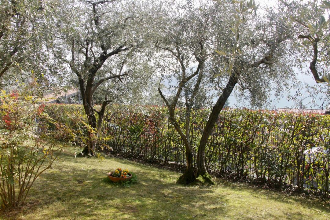Photo of Outdoor in Sarnico
