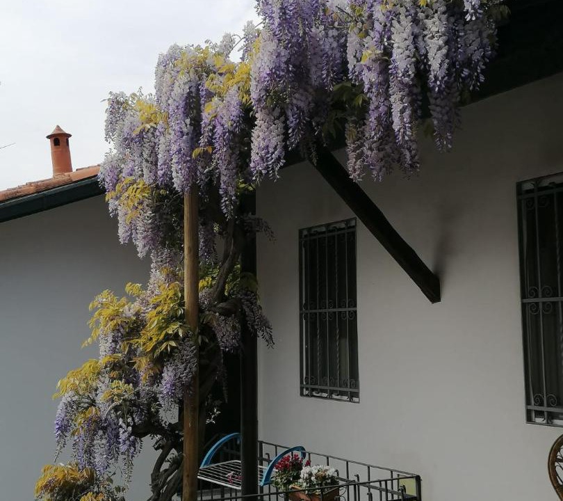 Photo of Others in Vittuone