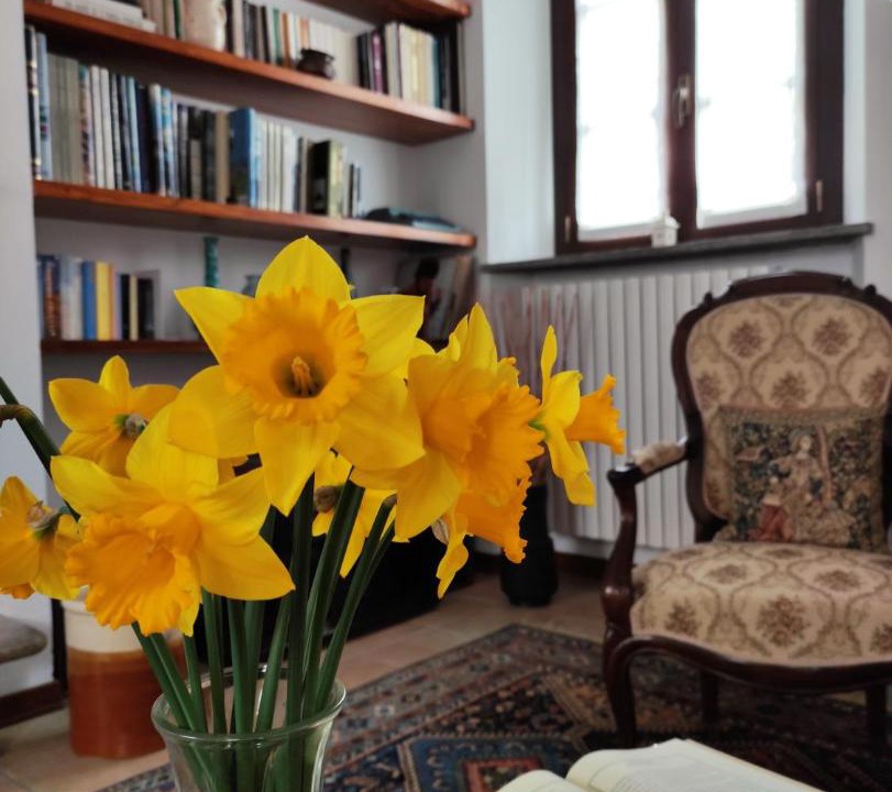 Photo of Livingroom in Pavia