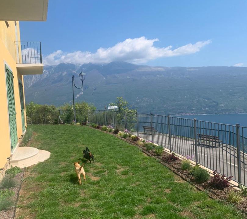 Photo of Outdoor in Muslone