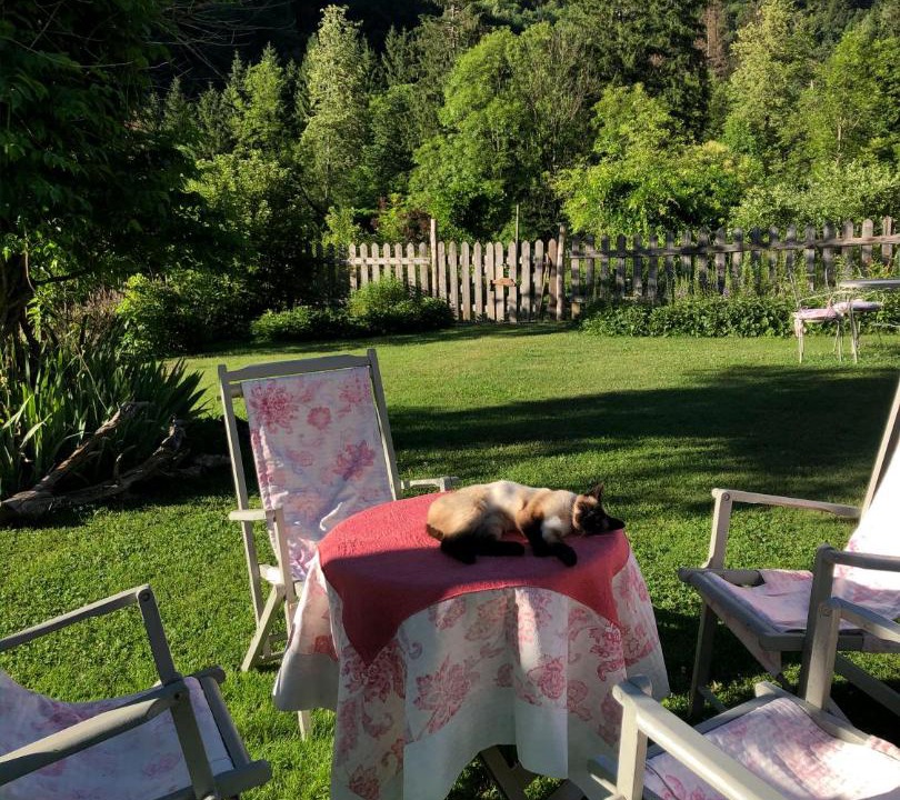 Photo of Patio Balcony in Lenna