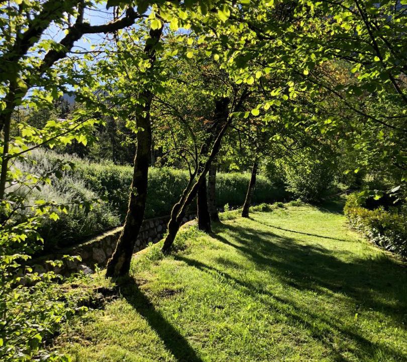 Photo of Outdoor in Lenna
