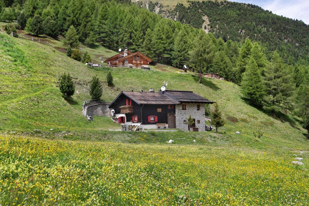 Photo of Buildings in Livigno