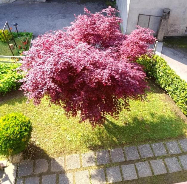 Photo of Outdoor in Piario