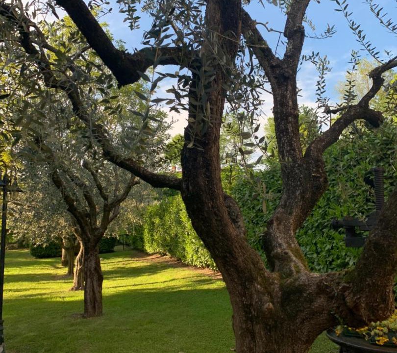 Photo of Outdoor in Polpenazze del Garda