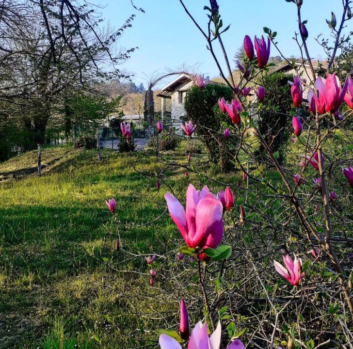 Photo of Outdoor in Cunardo