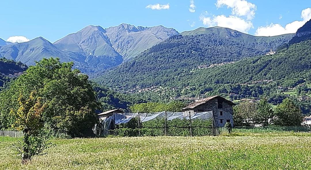Photo of Others in Consiglio di Rumo