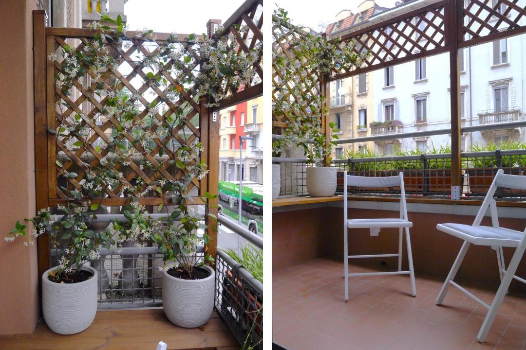 Photo of Patio Balcony in Citta Studi