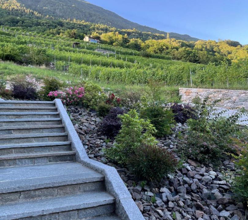 Photo of Others in Province of Sondrio