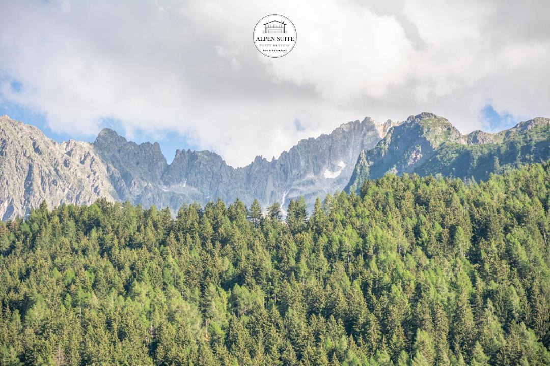 Photo of Others in Ponte di Legno