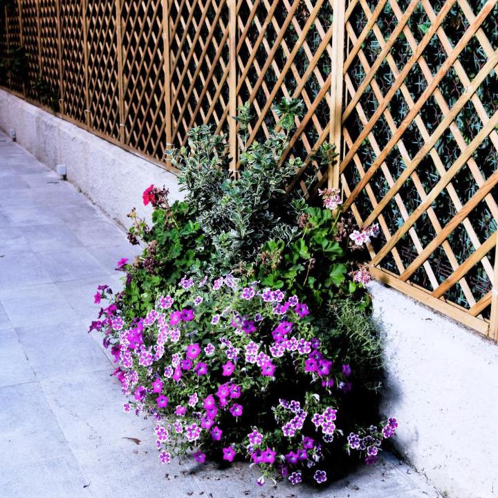 Photo of Others in Zona Zara