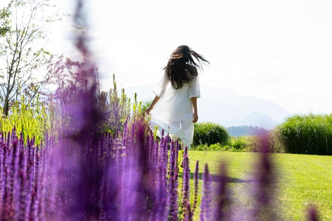Photo of Others in Laveno