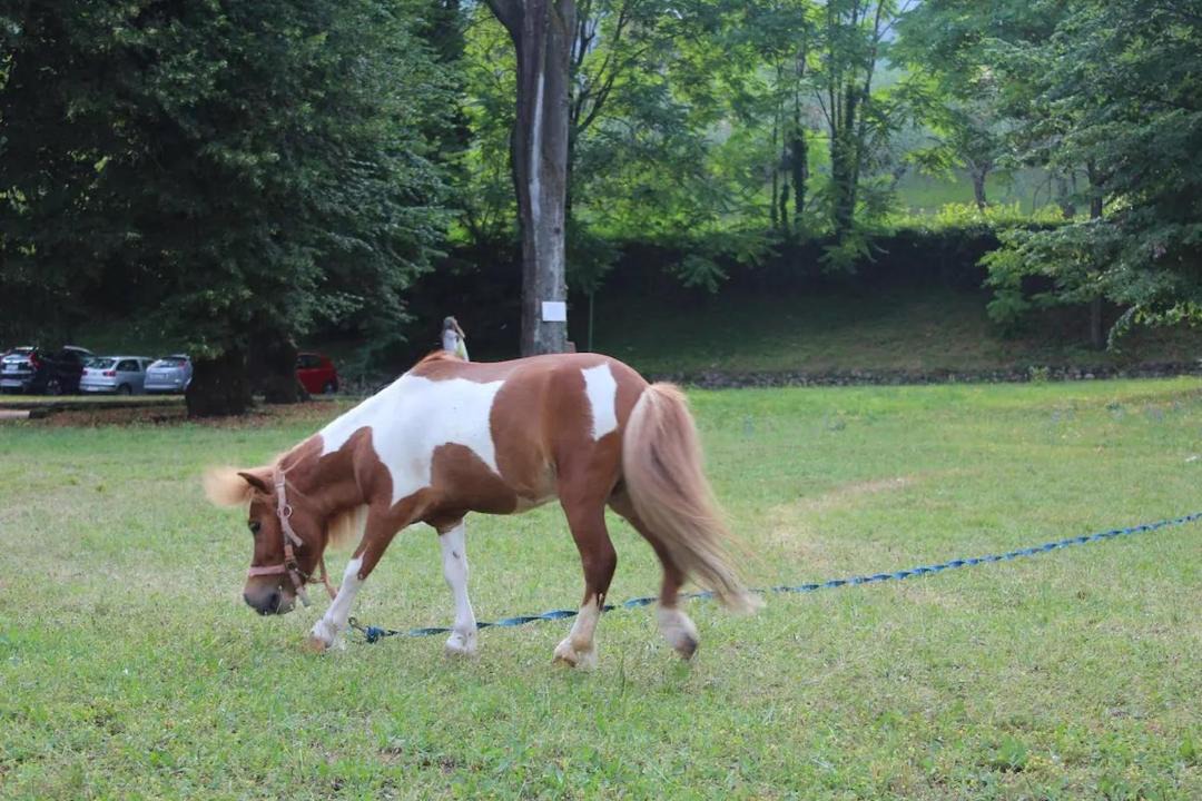 Photo of Outdoor in Barbarano