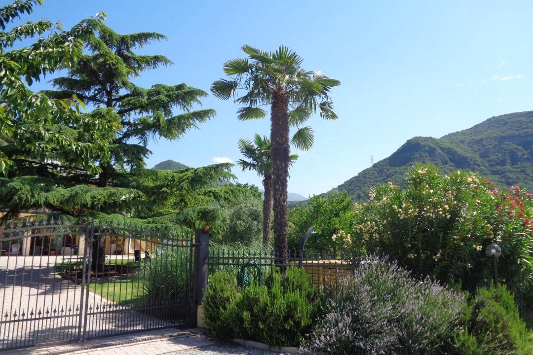 Photo of Outdoor in Roe Volciano