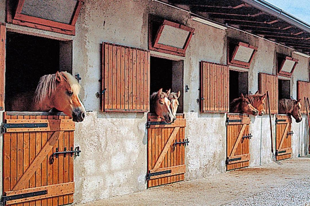 Photo of Others in Campi