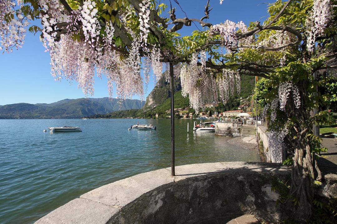 Photo of Outdoor in Menaggio