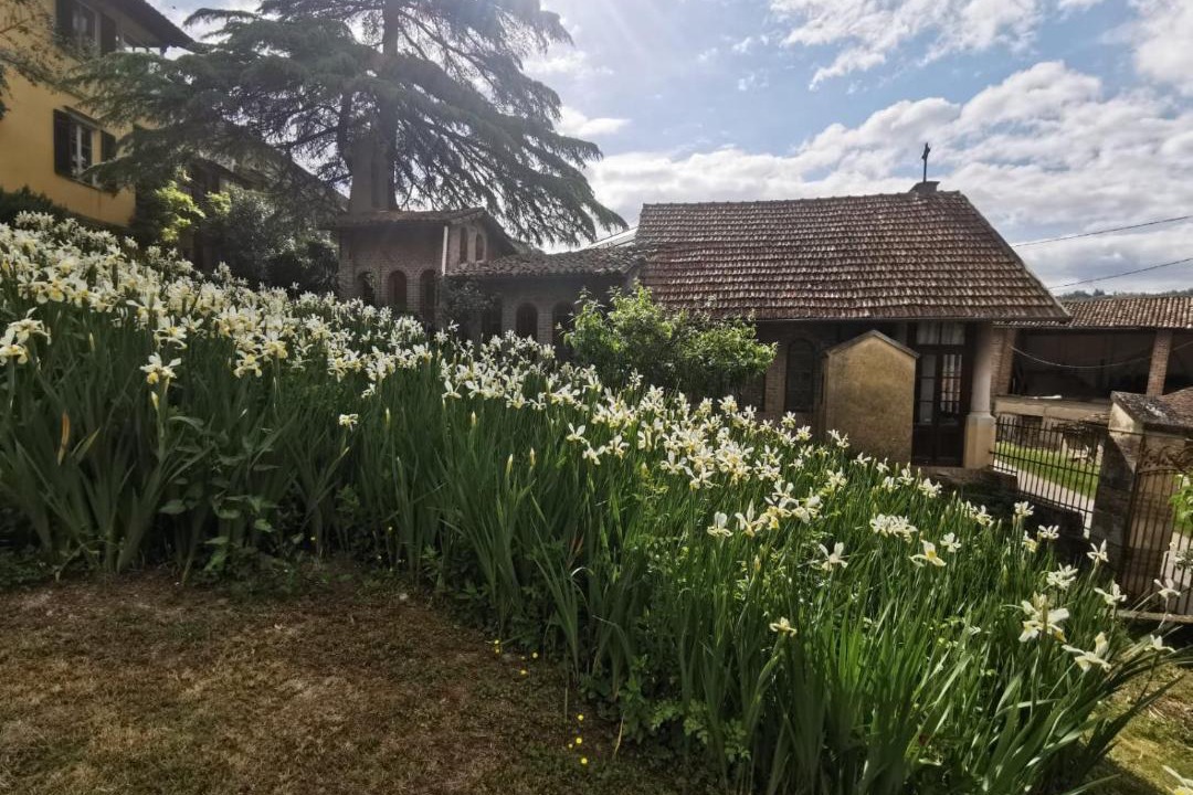 Photo of Buildings in Borgo Priolo