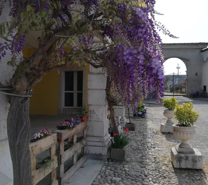 Photo of Others in Desenzano del Garda