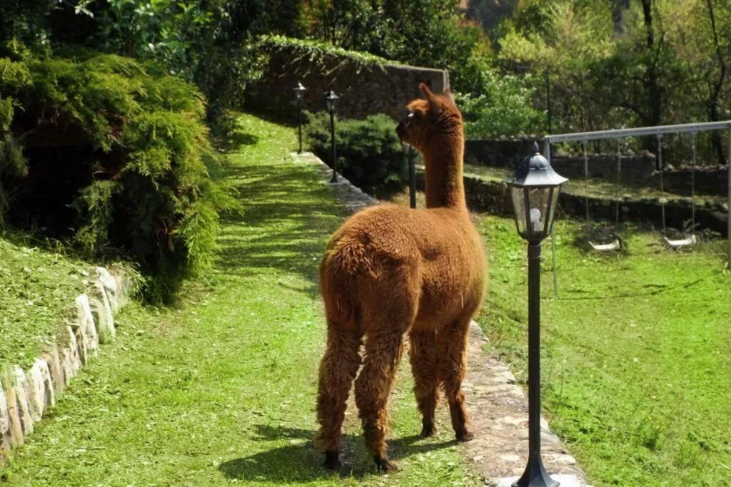 Photo of Others in Borgo di Terzo