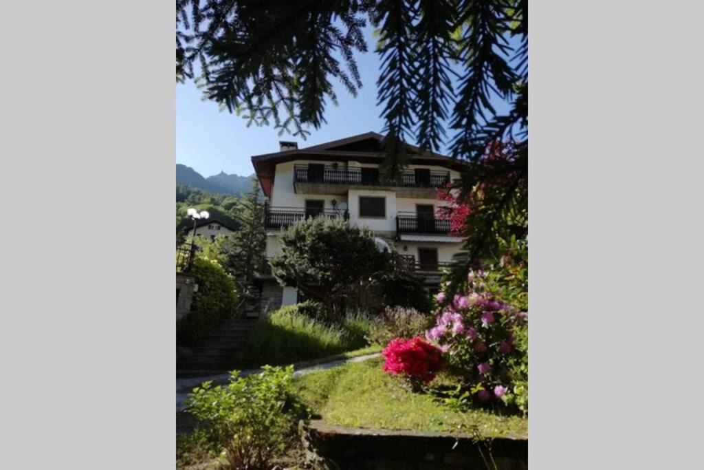 Photo of Others in Chiesa in Valmalenco