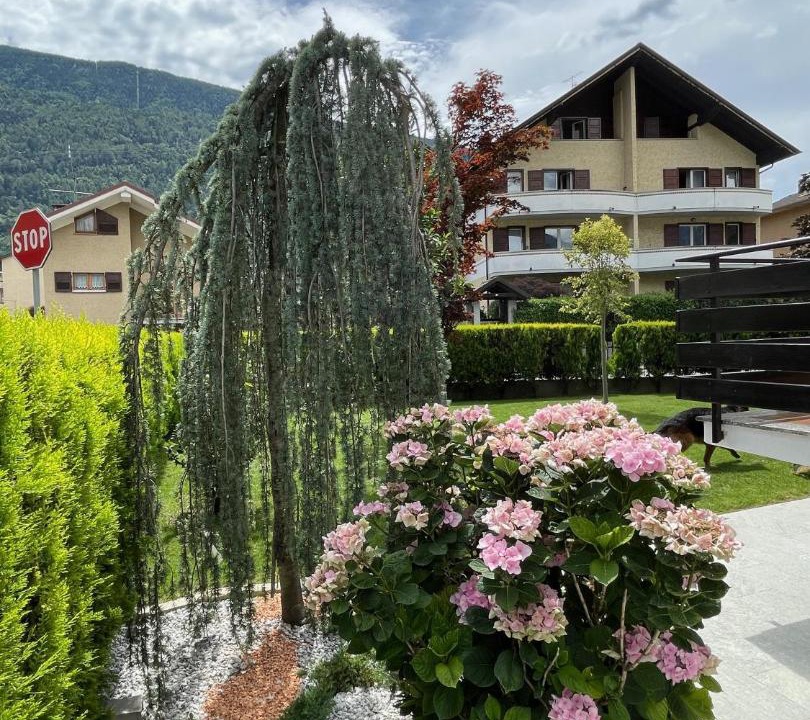 Photo of Others in Madonna di Tirano