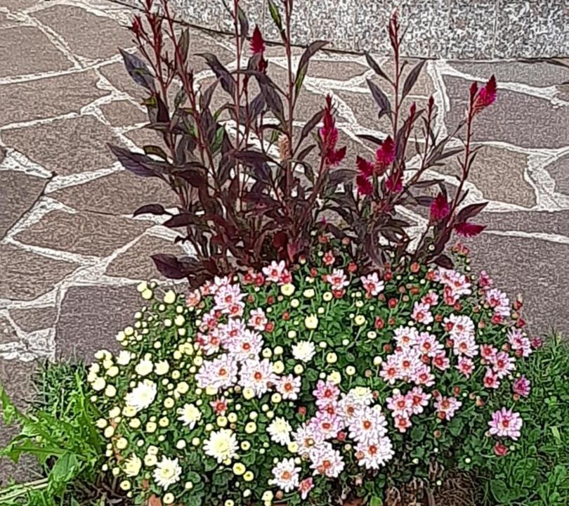 Photo of Outdoor in Zanica