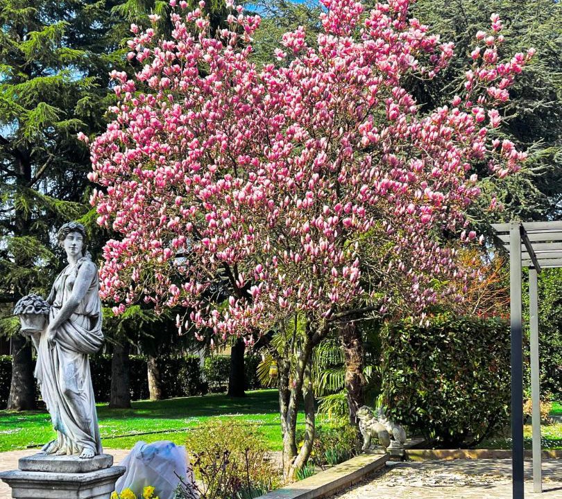 Photo of Others in Lonato del Garda