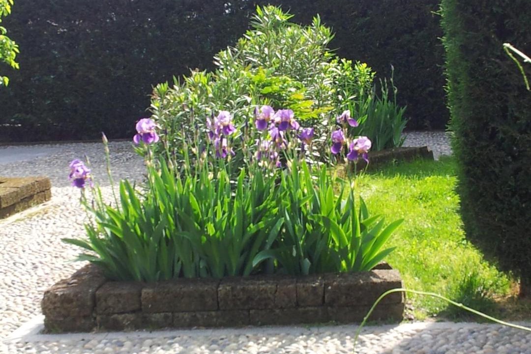 Photo of Outdoor in Castello d'Agogna