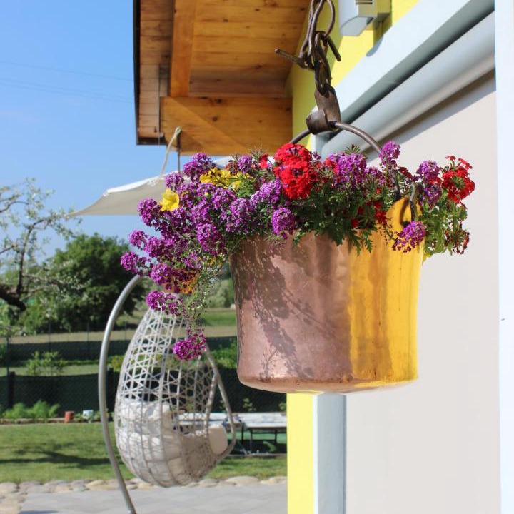 Photo of Others in Almenno San Salvatore