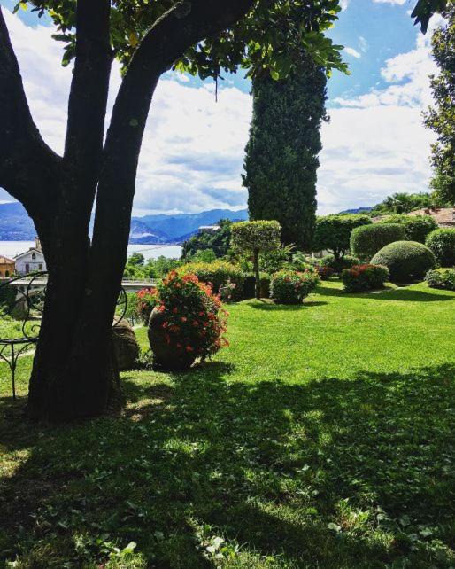 Photo of Others in Castello