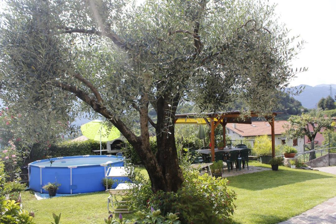 Photo of Others in Mandello del Lario