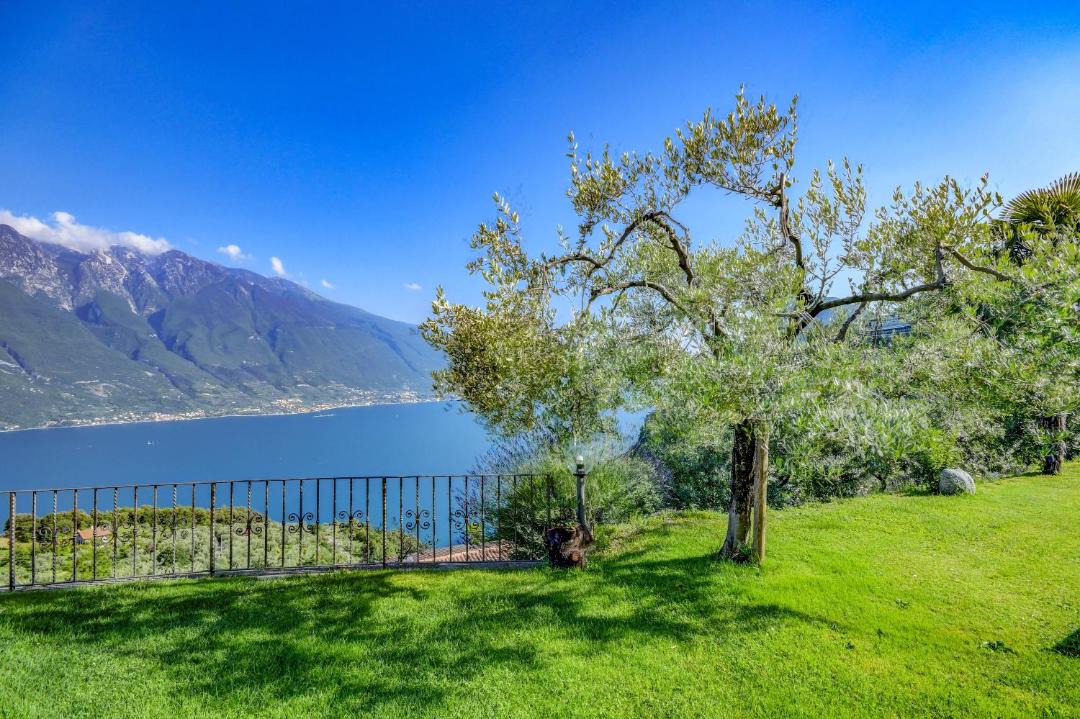 Photo of Outdoor in Arias