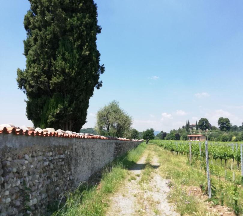 Photo of Others in Bornato