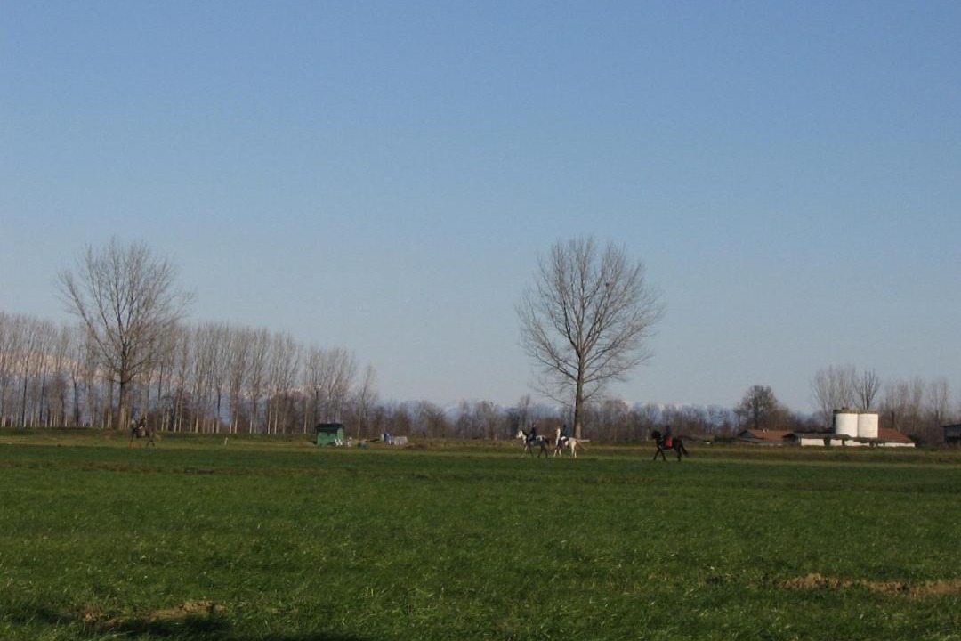 Photo of Others in Spino d'Adda