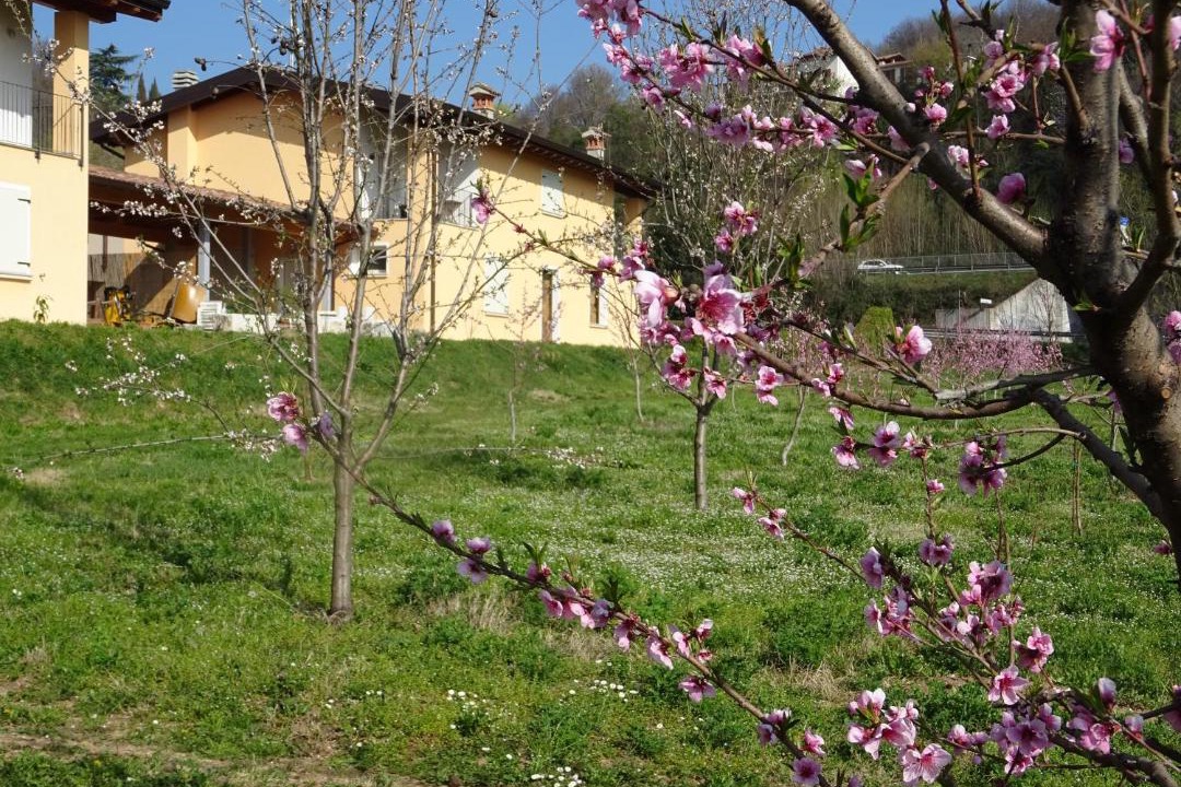 Photo of Others in Villanuova sul Clisi