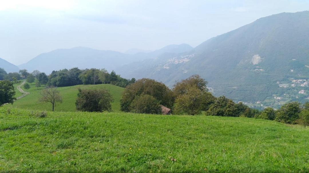 Photo of Outdoor in Endine Gaiano
