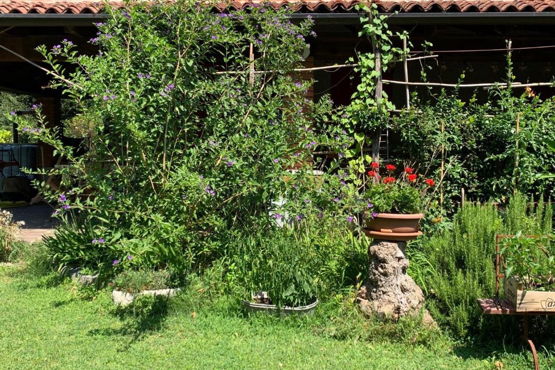 Photo of Buildings in Calvagese della Riviera
