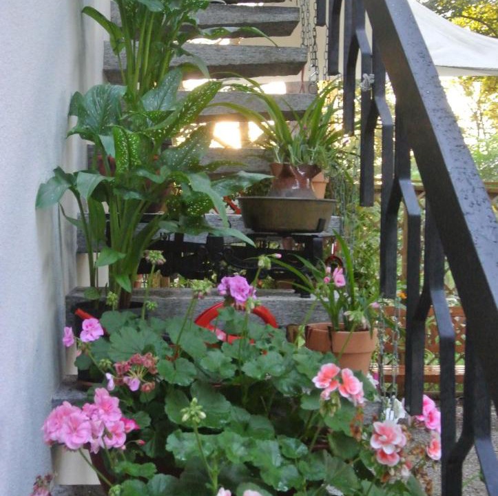 Photo of Patio Balcony in Somma Lombardo