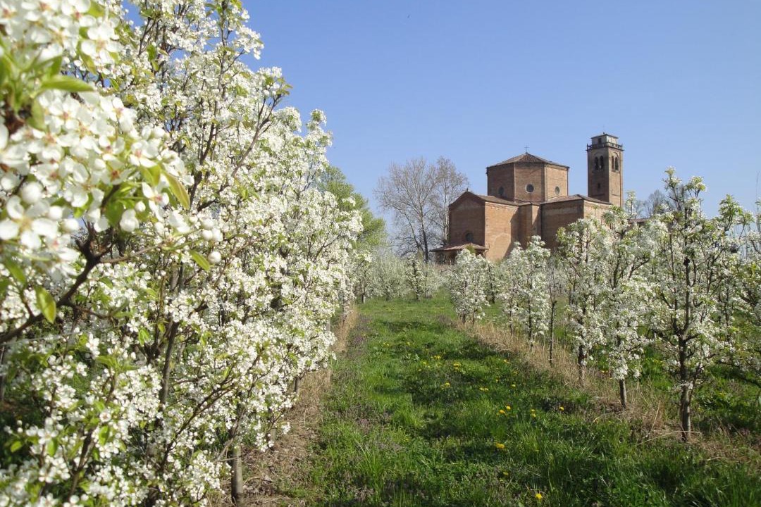 Photo of Others in Castelleone