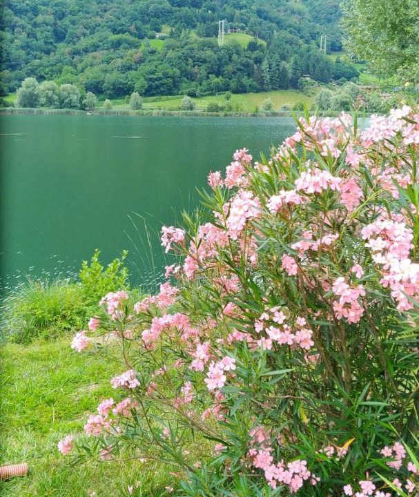 Photo of Outdoor in Endine Gaiano