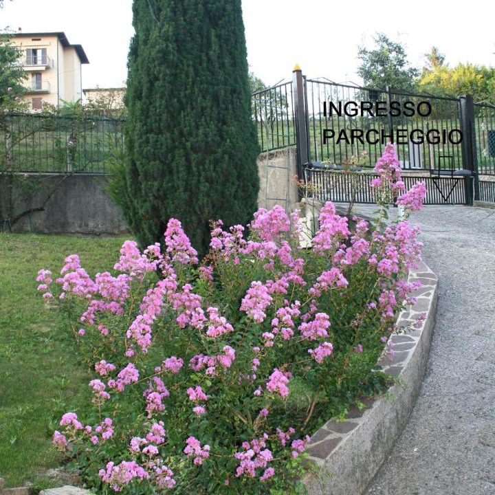 Photo of Outdoor in Scanzorosciate