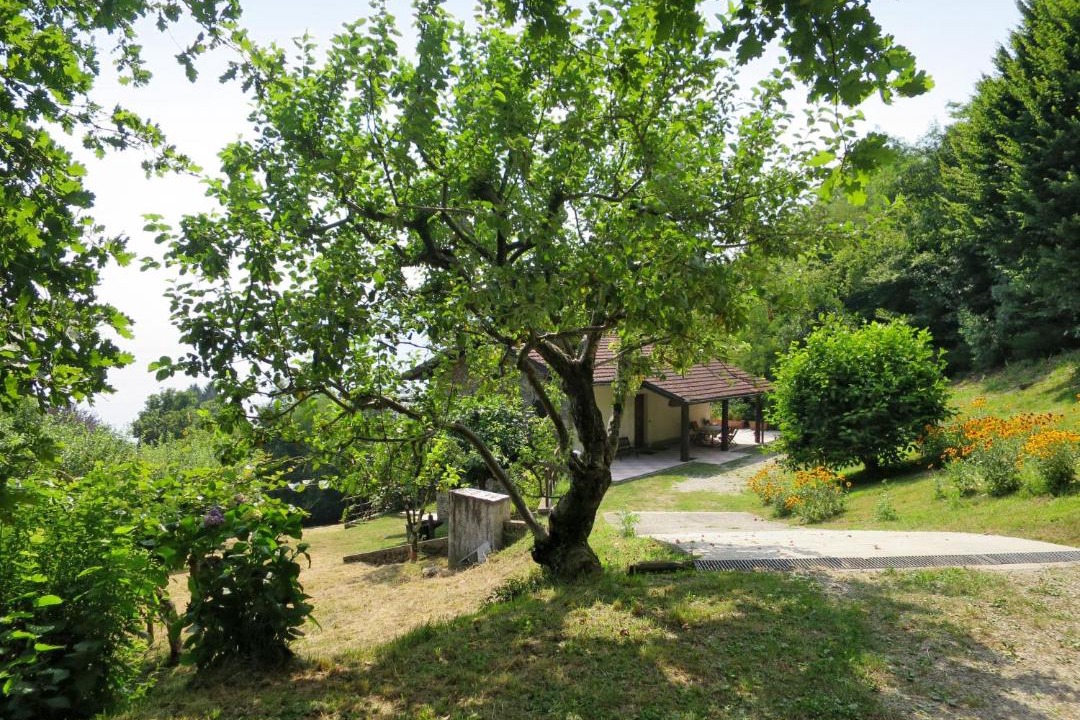 Photo of Others in Colmegna