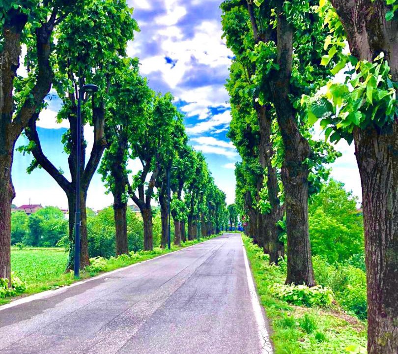 Photo of Others in Lonato del Garda