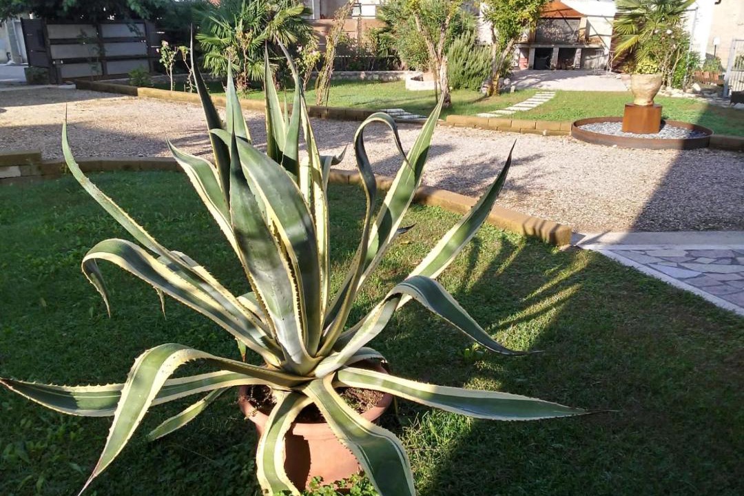 Photo of Outdoor in Volta Mantovana