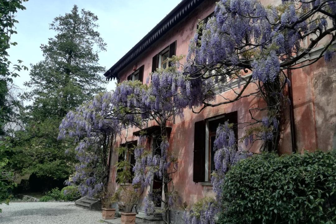 Photo of Others in Castello